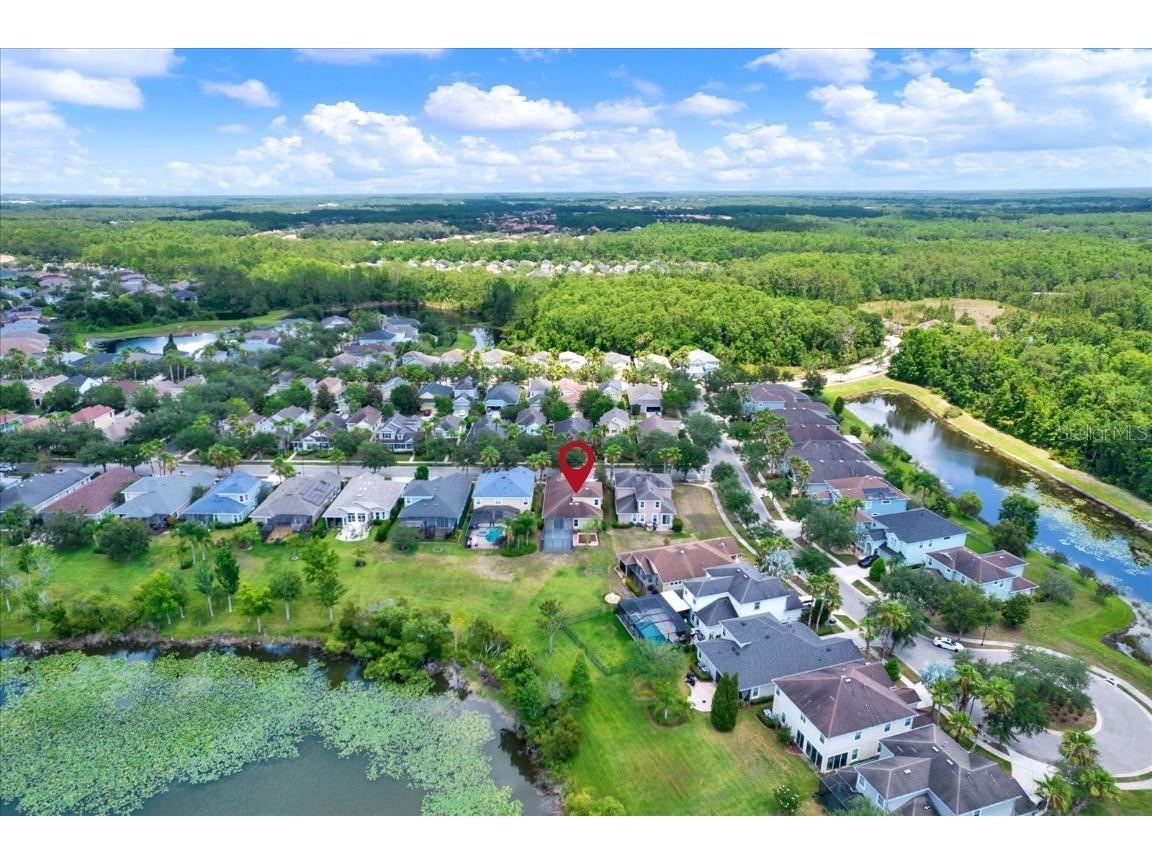 20106 Bending Creek Place Tampa FL 33647 - LAKE HAMPTON TB8388888 image44