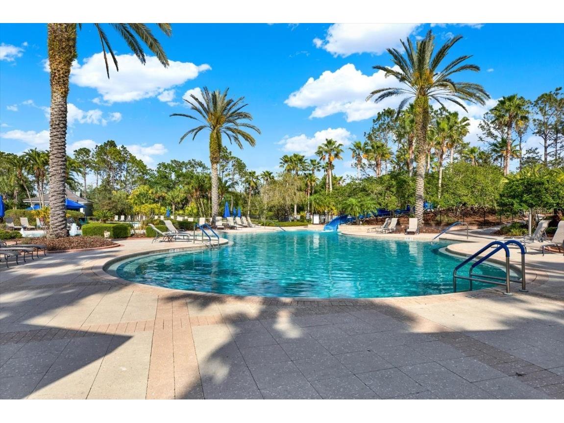 20106 Bending Creek Place Tampa FL 33647 - LAKE HAMPTON TB8388888 image50