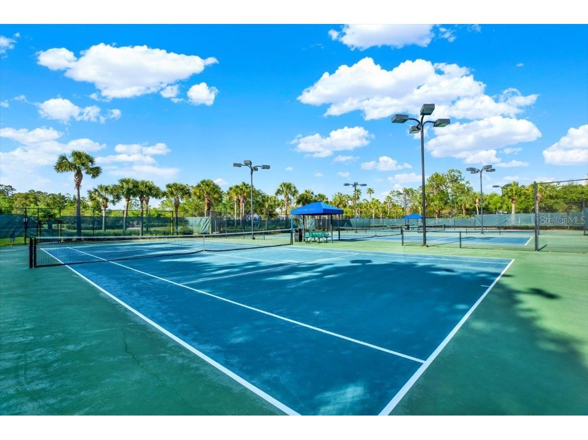 20106 Bending Creek Place Tampa FL 33647 - LAKE HAMPTON TB8388888 image54