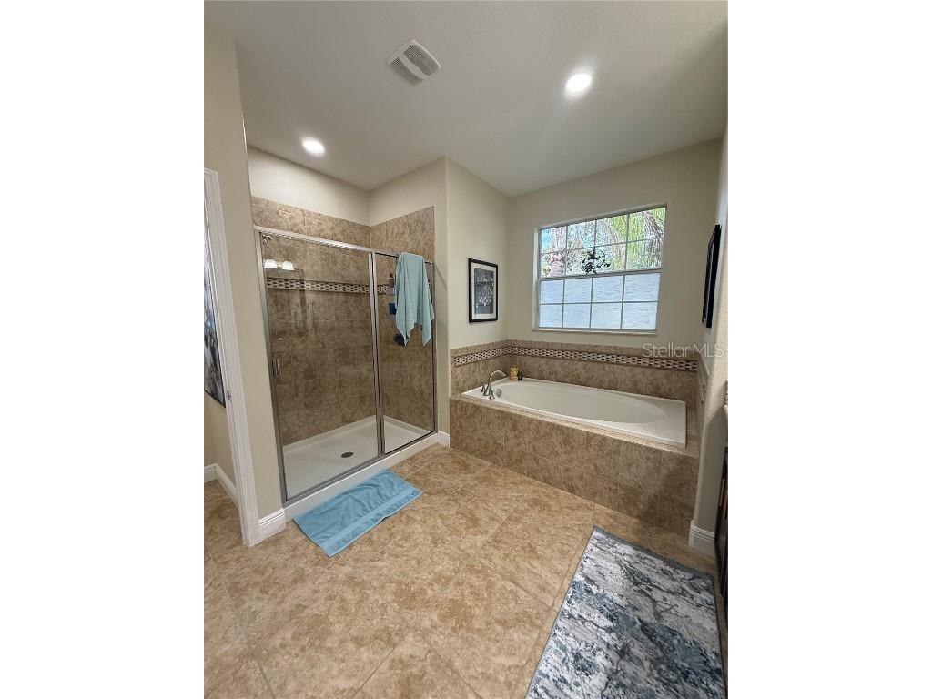 20106 Blue Daze Avenue Tampa FL 33647 L4956342 image18