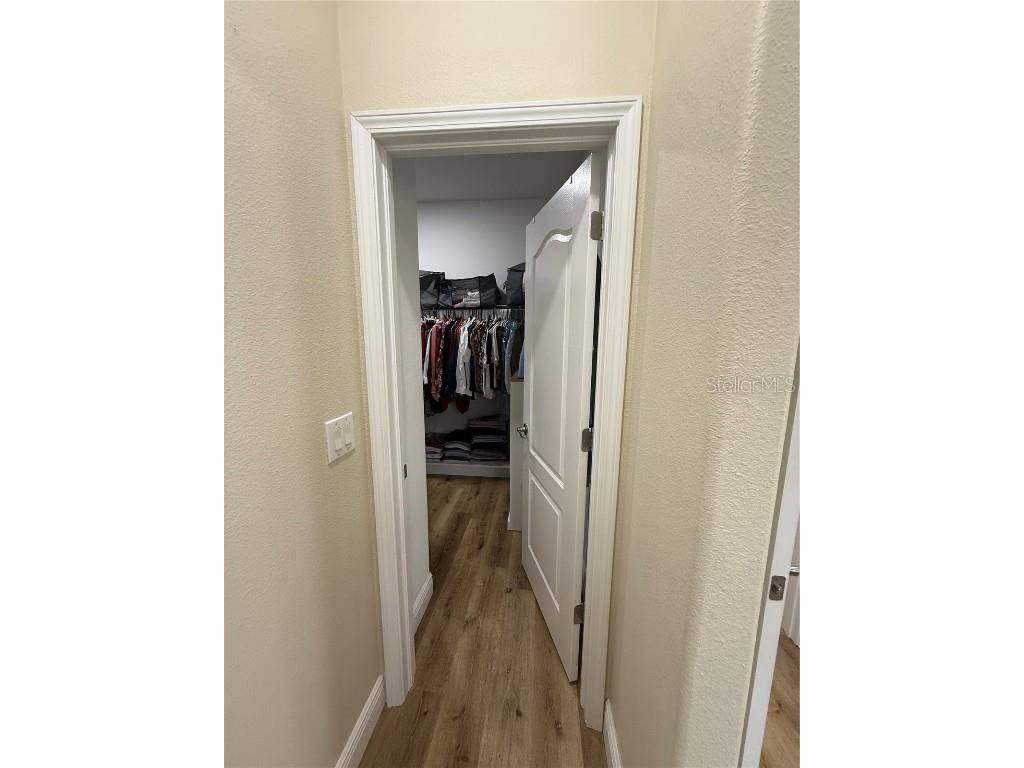 20106 Blue Daze Avenue Tampa FL 33647 L4956342 image21