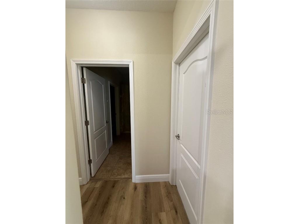 20106 Blue Daze Avenue Tampa FL 33647 L4956342 image32