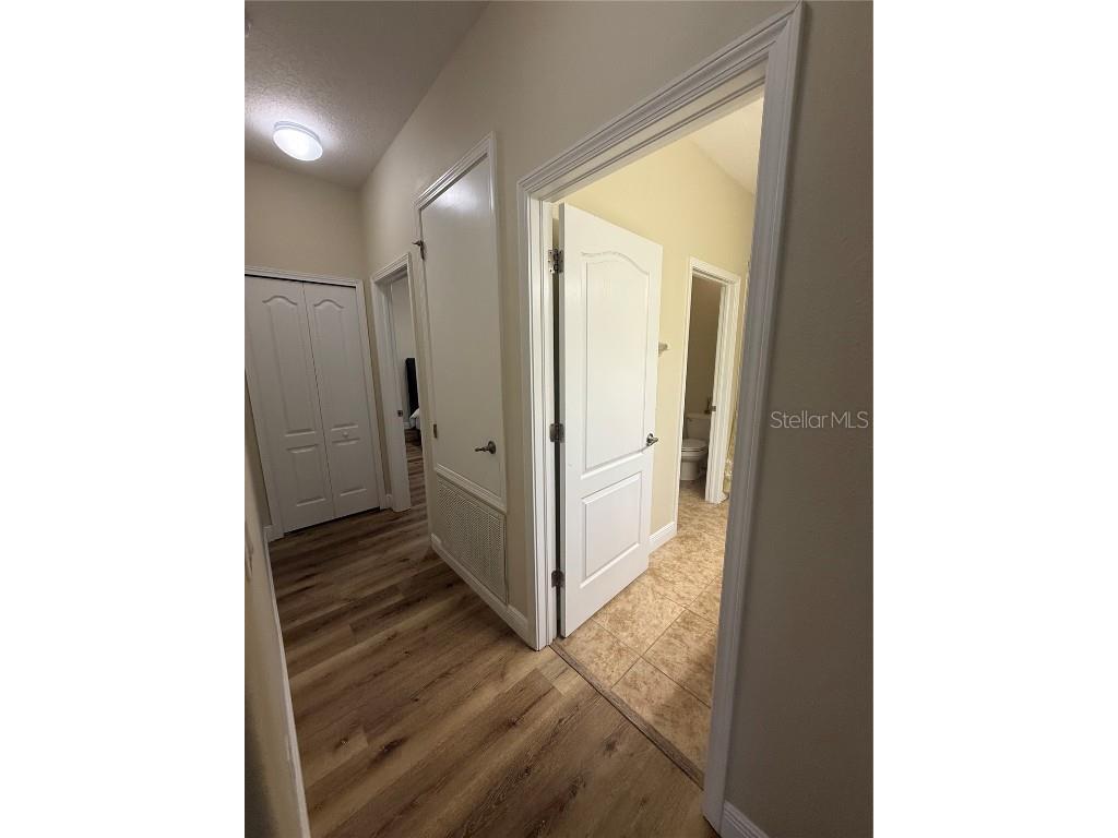 20106 Blue Daze Avenue Tampa FL 33647 L4956342 image33