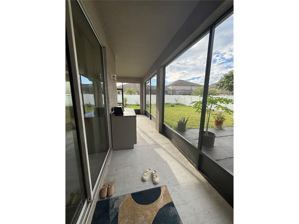 20106 Blue Daze Avenue Tampa FL 33647 L4956342 image41