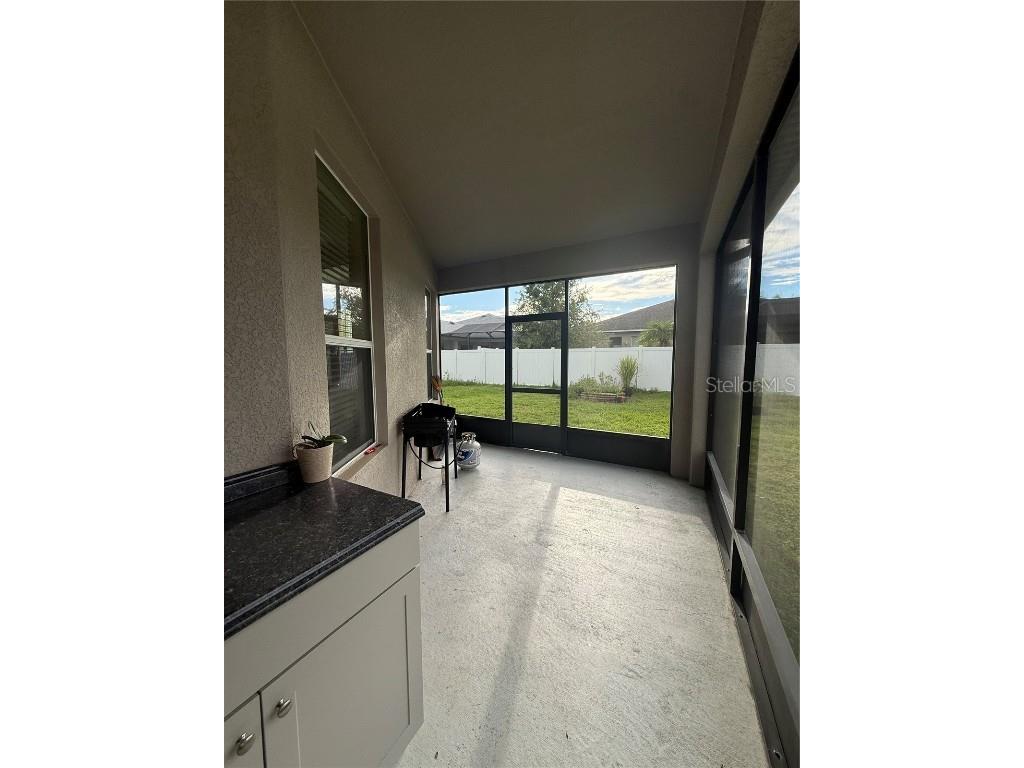 20106 Blue Daze Avenue Tampa FL 33647 L4956342 image42