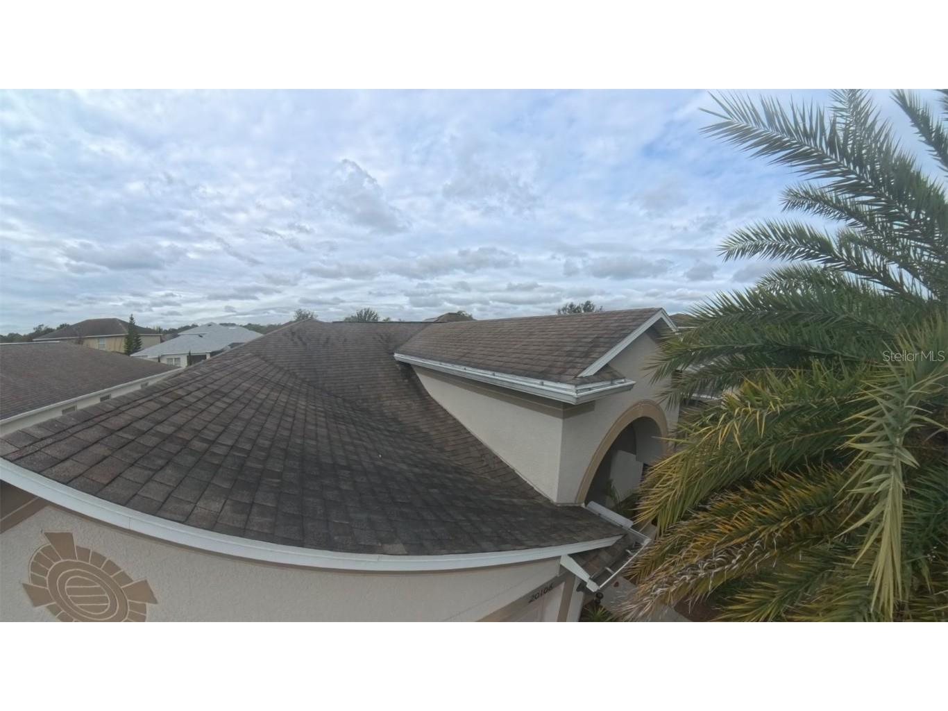 20106 Blue Daze Avenue Tampa FL 33647 L4956342 image53