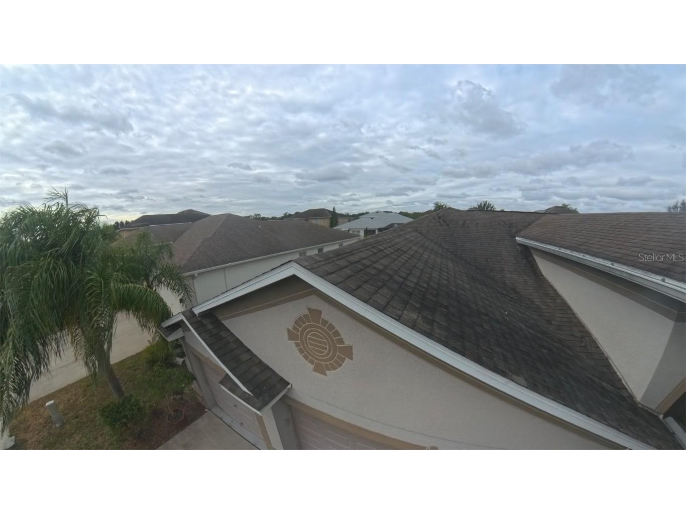 20106 Blue Daze Avenue Tampa FL 33647 L4956342 image54