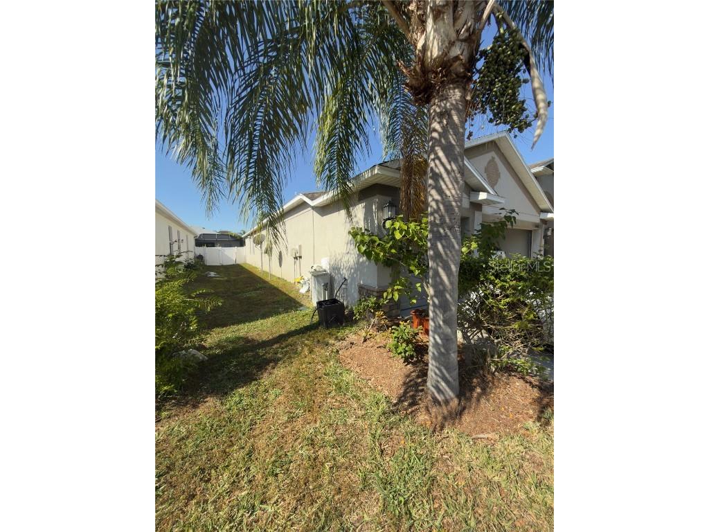 20106 Blue Daze Avenue Tampa FL 33647 L4956342 image6