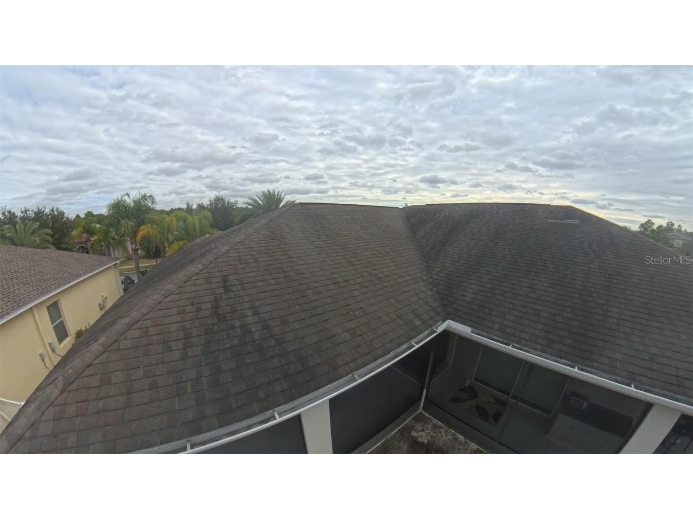 20106 Blue Daze Avenue Tampa FL 33647 L4956342 image64