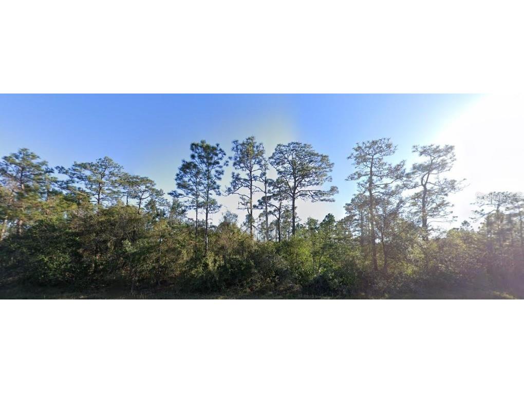 20106 E Colonial Drive Christmas FL 32709 O6370720 image3