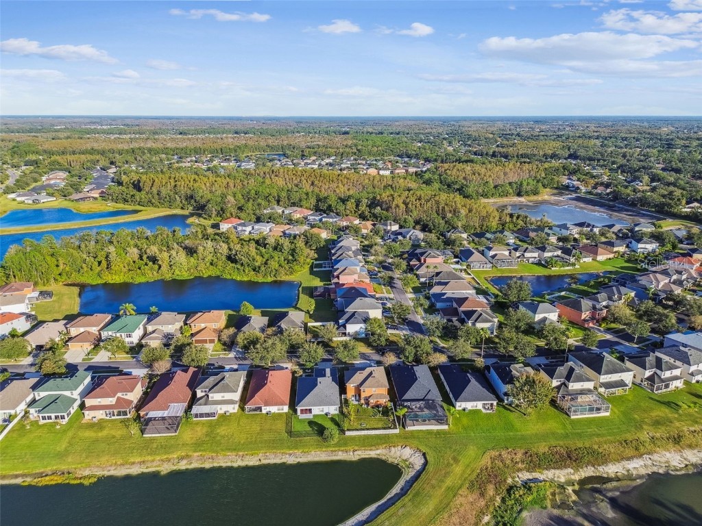 20106 Nob Oak Avenue Tampa FL 33647 TB8449152 image59