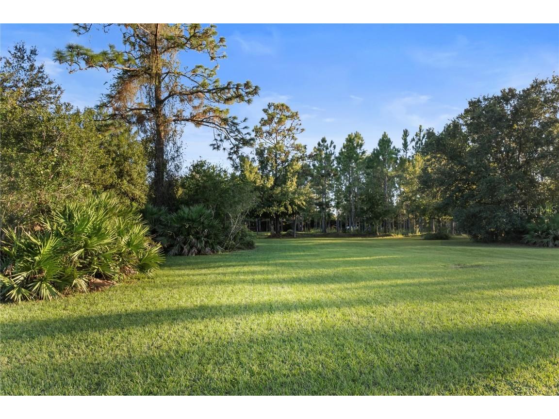 20107 Starry Street Orlando FL 32833 S5136913 image33