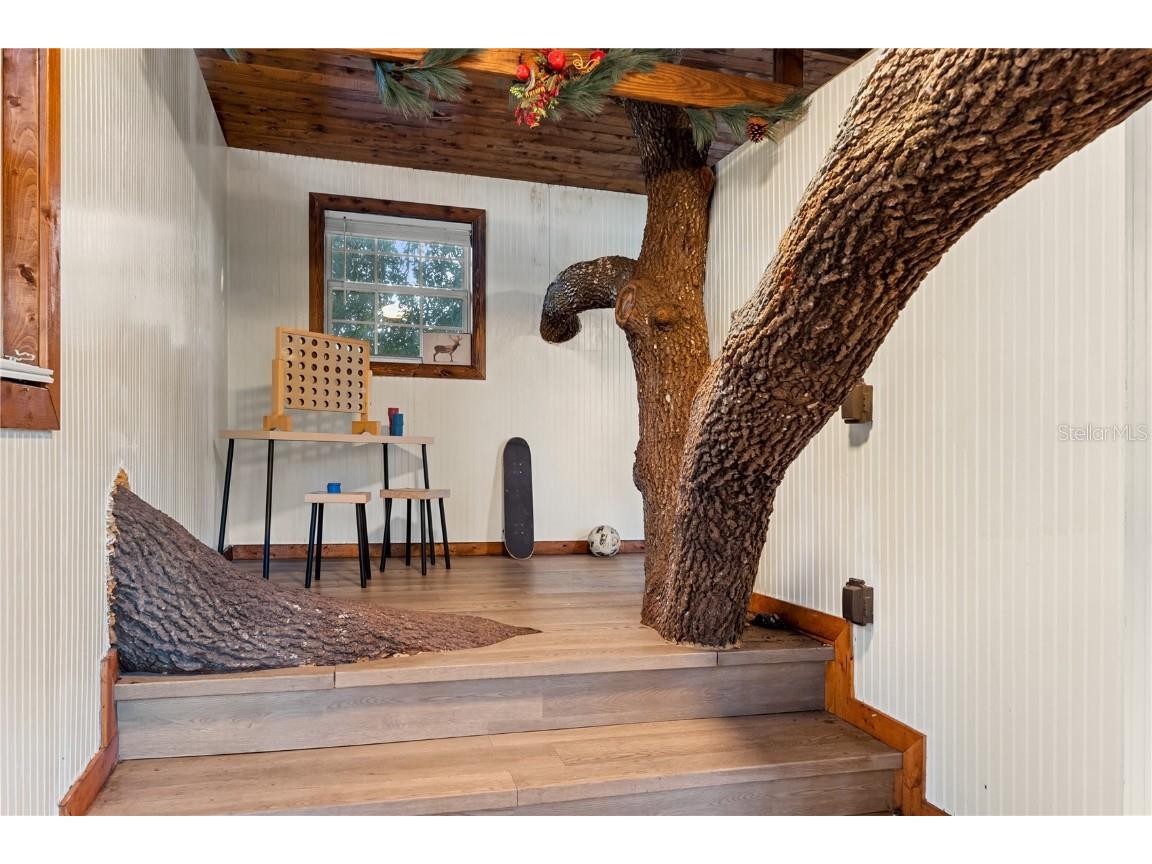 20107 Starry Street Orlando FL 32833 S5136913 image46