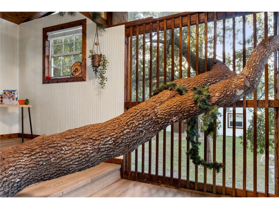 20107 Starry Street Orlando FL 32833 S5136913 image47