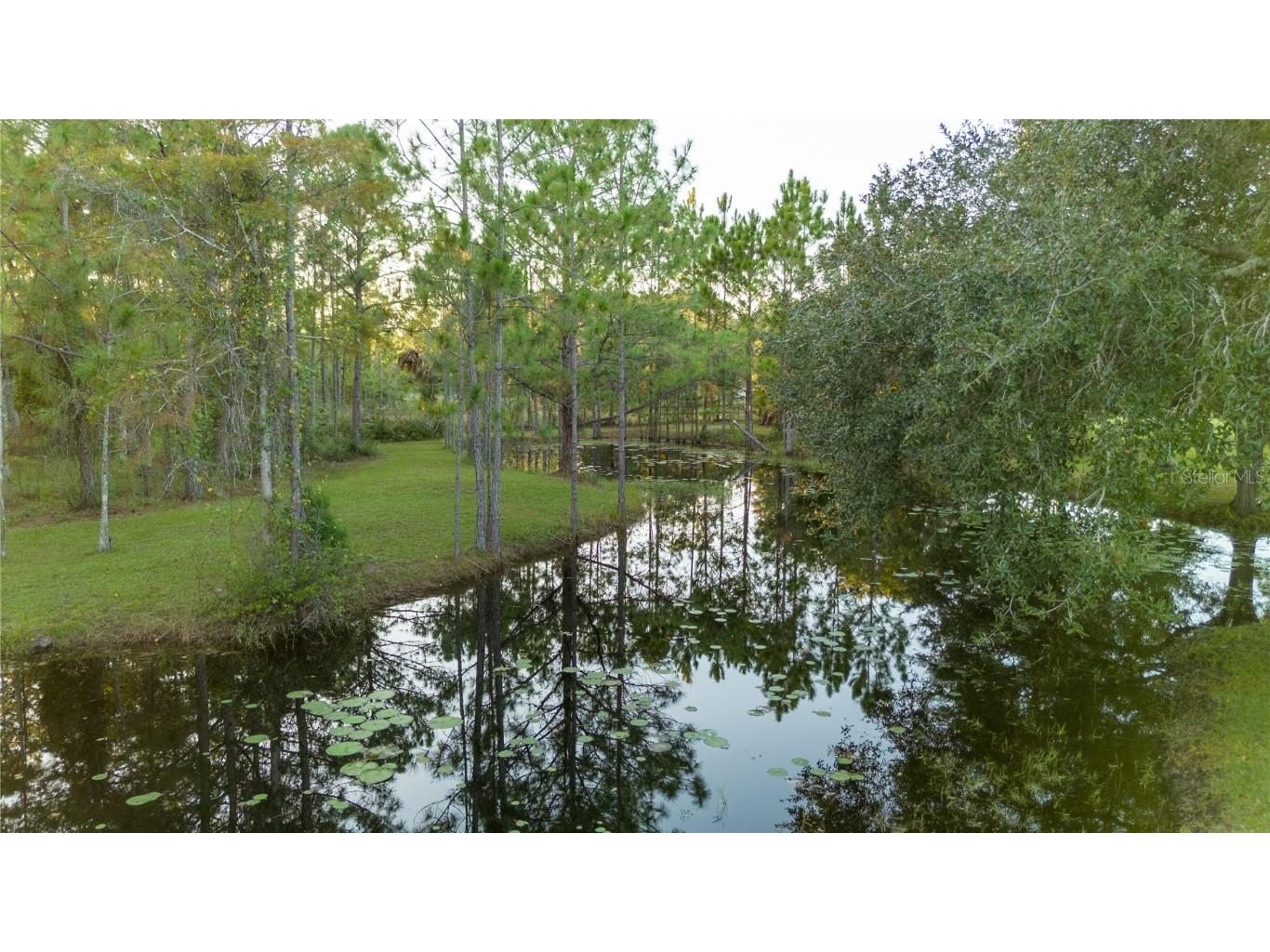 20107 Starry Street Orlando FL 32833 S5136913 image51