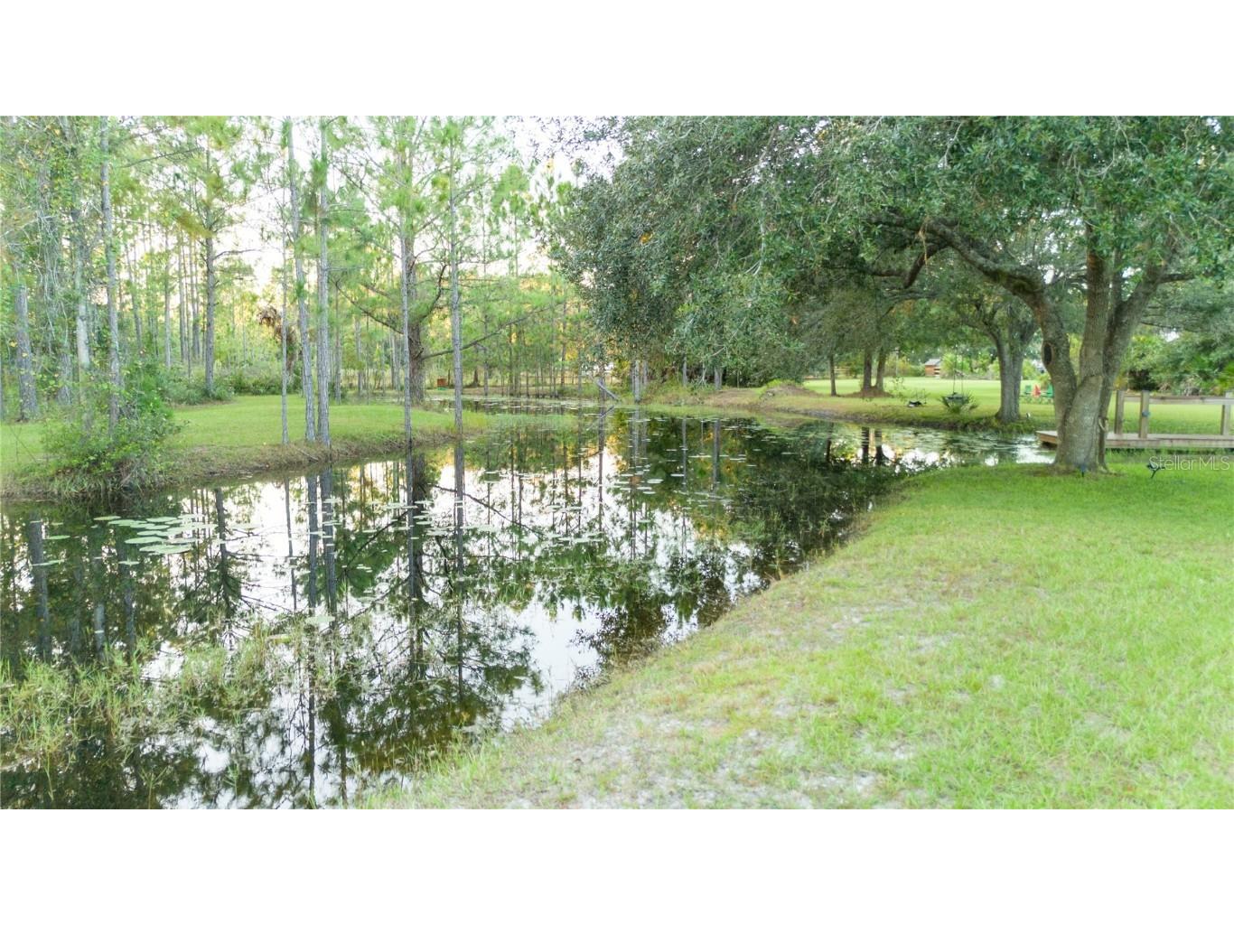 20107 Starry Street Orlando FL 32833 S5136913 image53