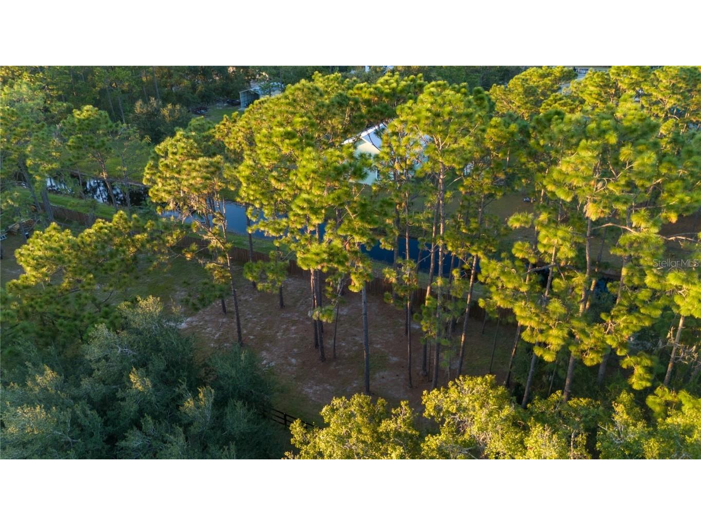 20107 Starry Street Orlando FL 32833 S5136913 image59