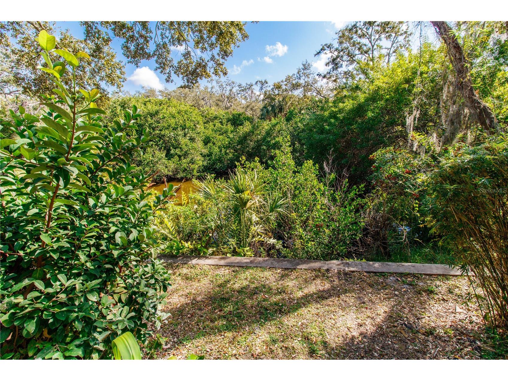 2011 Arbor Drive Clearwater FL 33760 O6376998 image17