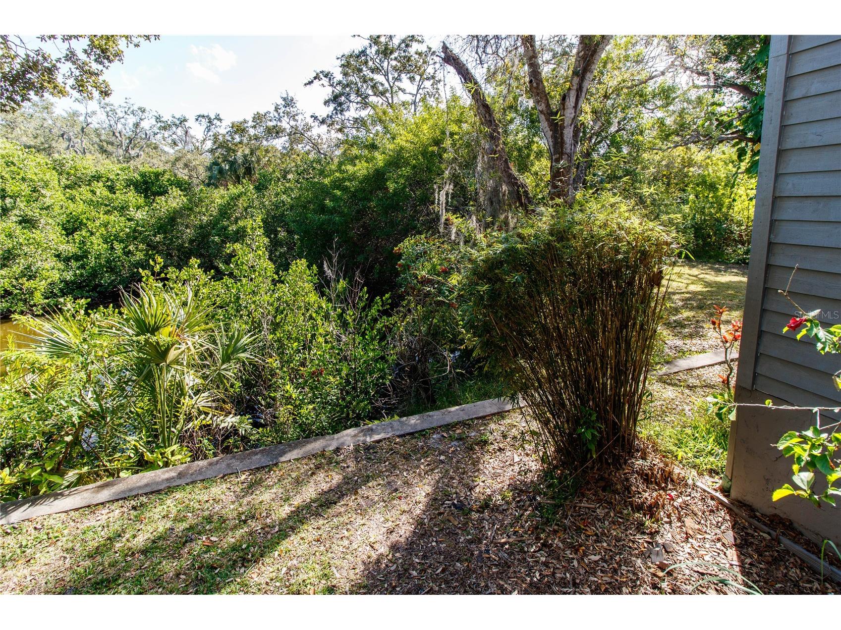 2011 Arbor Drive Clearwater FL 33760 O6376998 image18