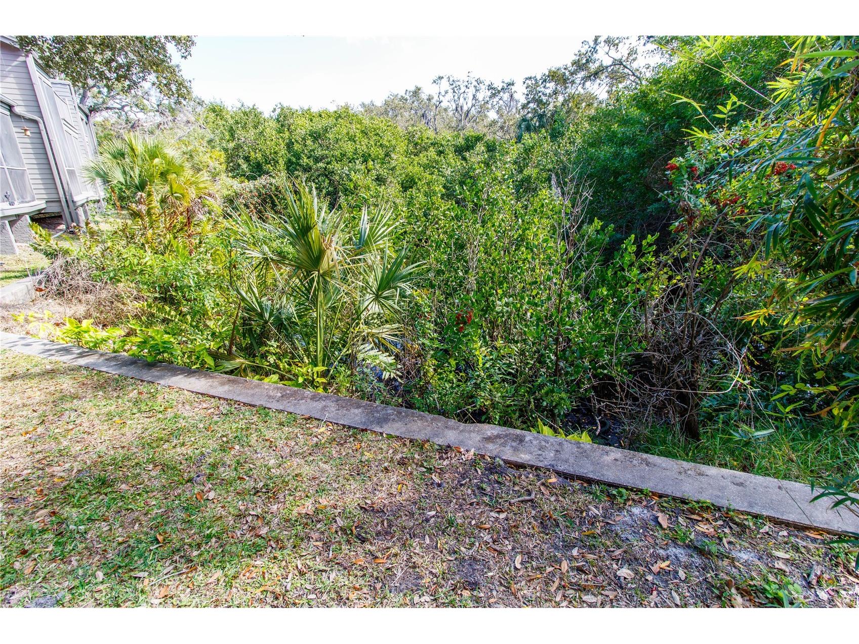 2011 Arbor Drive Clearwater FL 33760 O6376998 image19