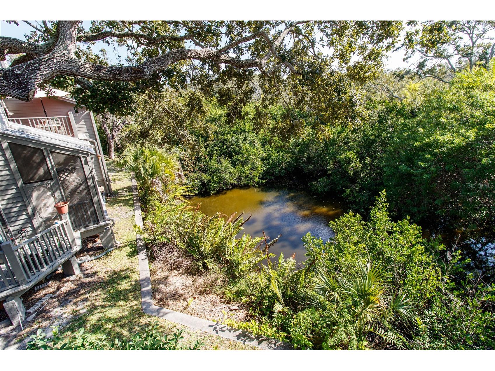 2011 Arbor Drive Clearwater FL 33760 O6376998 image32