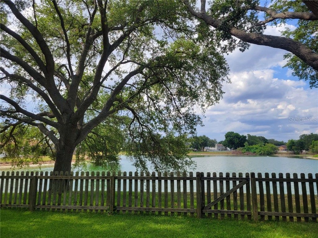 2011 Cattleman Drive Brandon FL 33511 TB8455221 image40