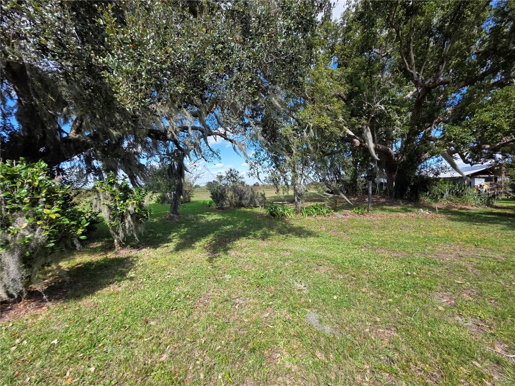 2011 County Line Road E Fort Meade FL 33841 A4670876 image13