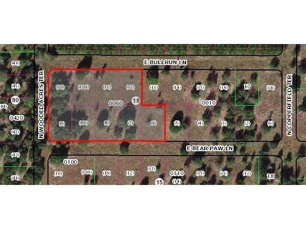 2011 E Bear Paw Lane Inverness FL 34453 U8212889 image1