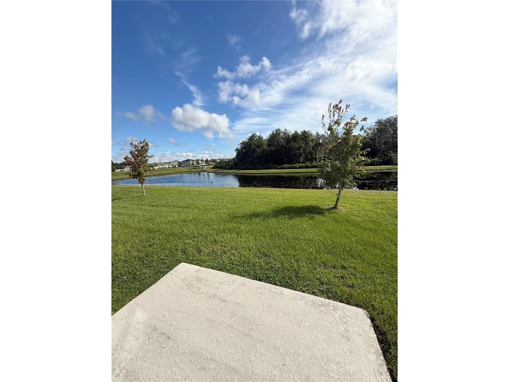 2011 Myrtle Pine Street Kissimmee FL 34746 O6340523 image28