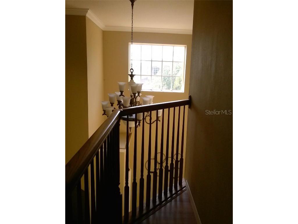 2011 N 61st Street Tampa FL 33619 O6303783 image15