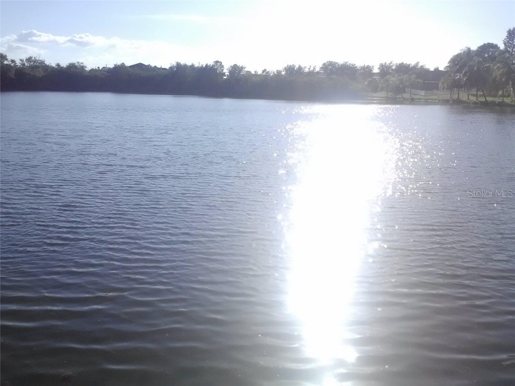 2011 N 61st Street Tampa FL 33619 O6303783 image38