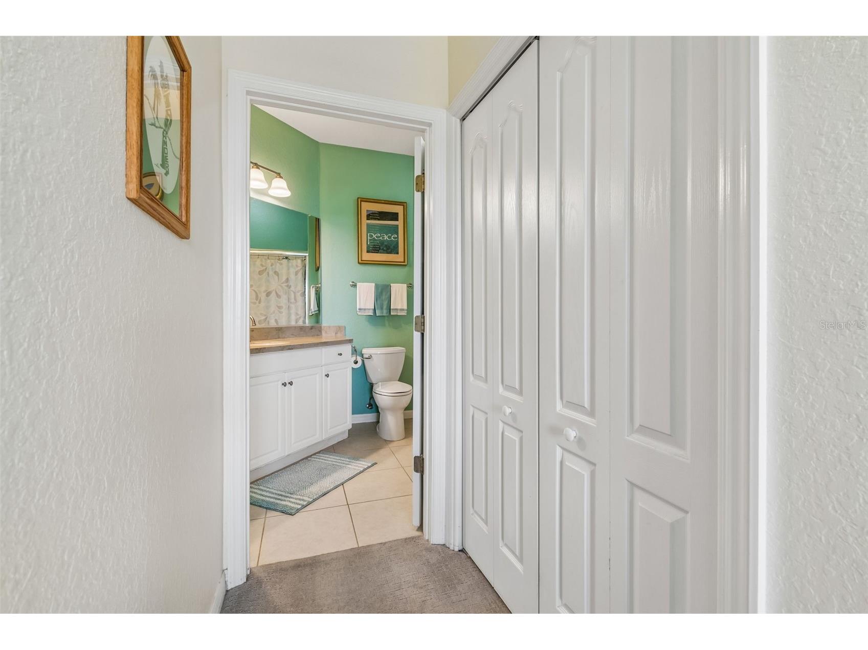 2011 Sifield Greens Way #71 Sun City Center FL 33573 TB8504091 image34