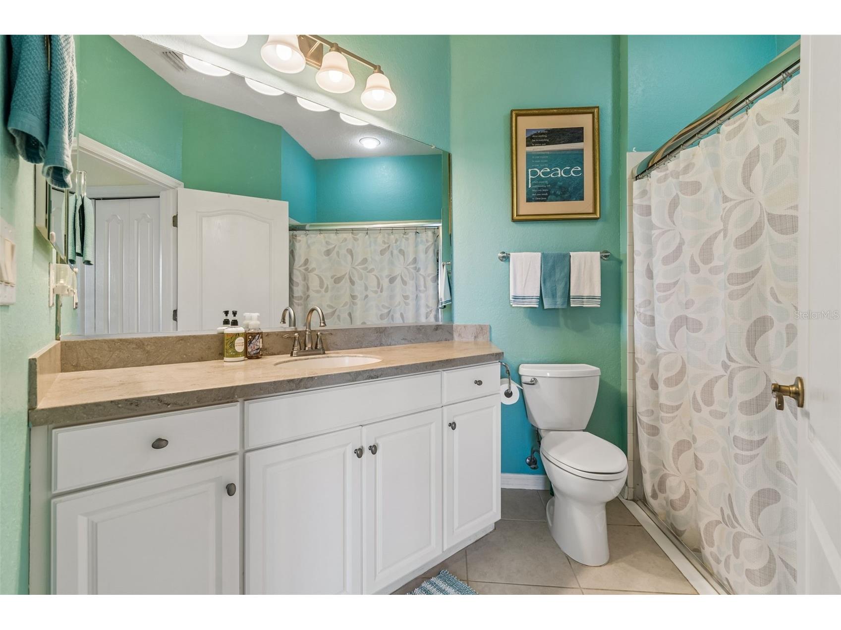 2011 Sifield Greens Way #71 Sun City Center FL 33573 TB8504091 image36
