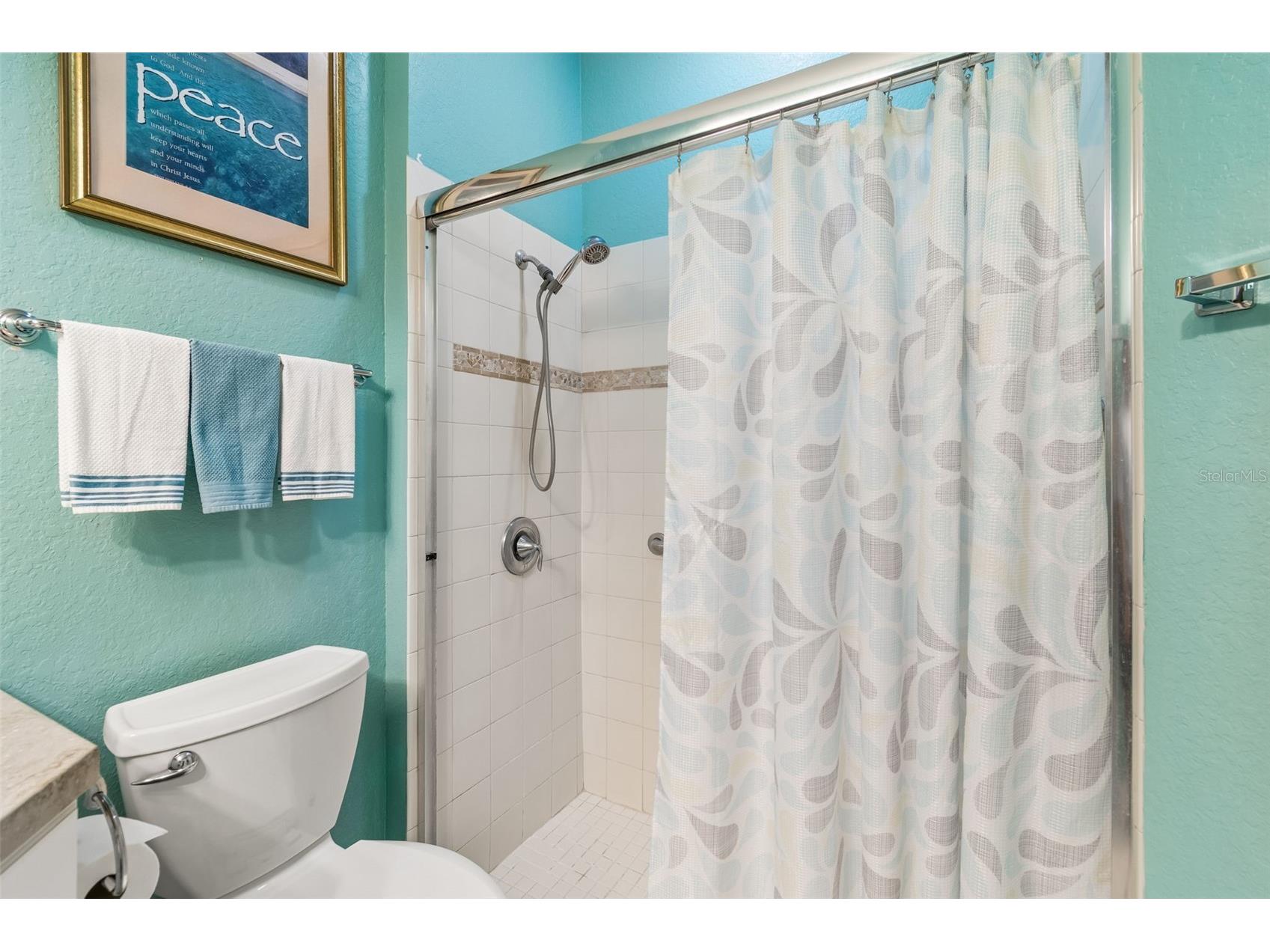 2011 Sifield Greens Way #71 Sun City Center FL 33573 TB8504091 image37