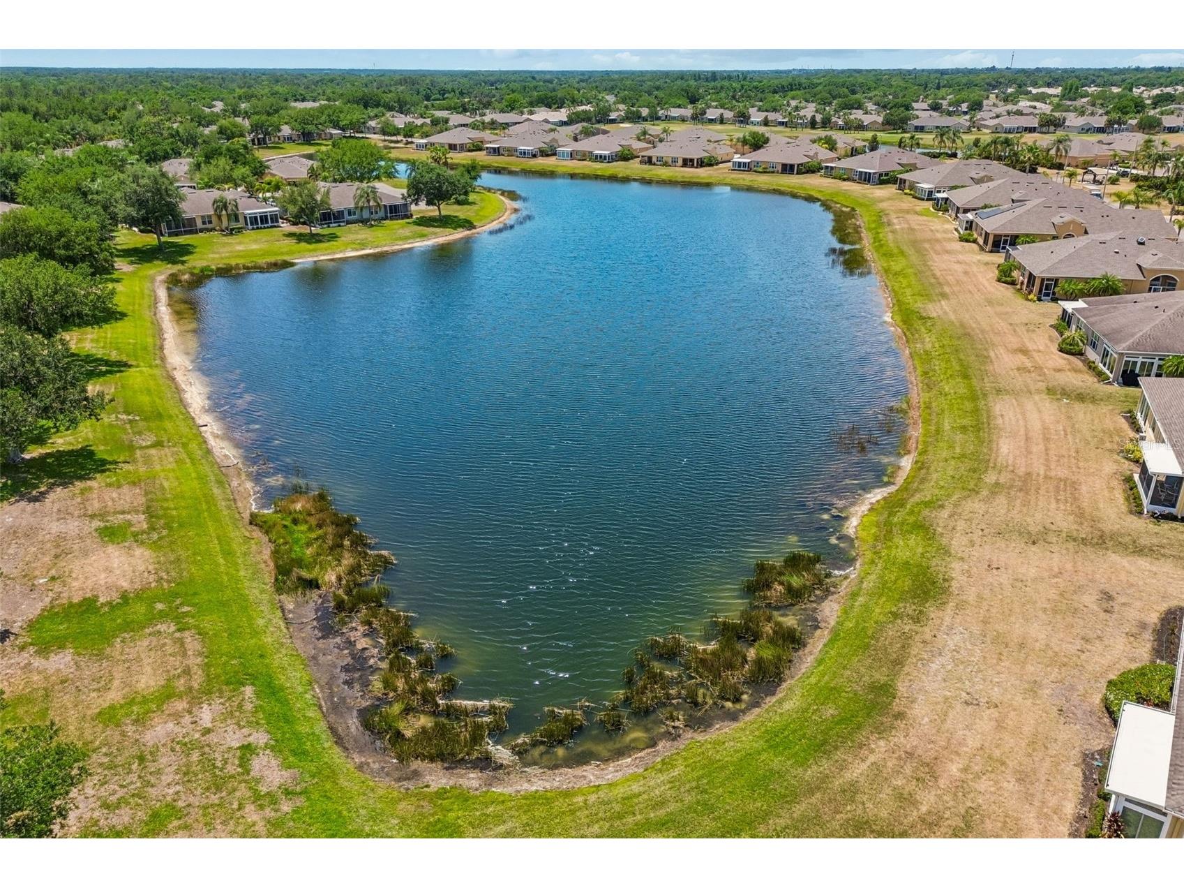 2011 Sifield Greens Way #71 Sun City Center FL 33573 TB8504091 image6