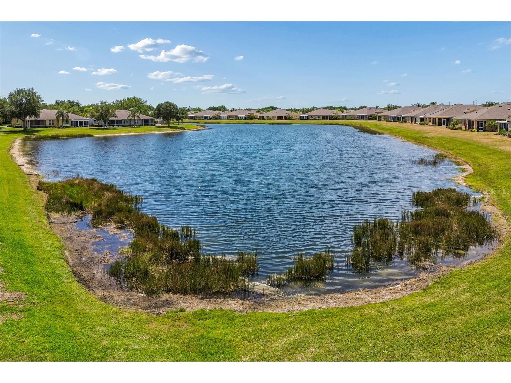 2011 Sifield Greens Way #71 Sun City Center FL 33573 TB8504091 image71