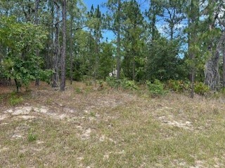 2011 W Tacoma Drive Citrus Springs FL 34434 T3530063 image1