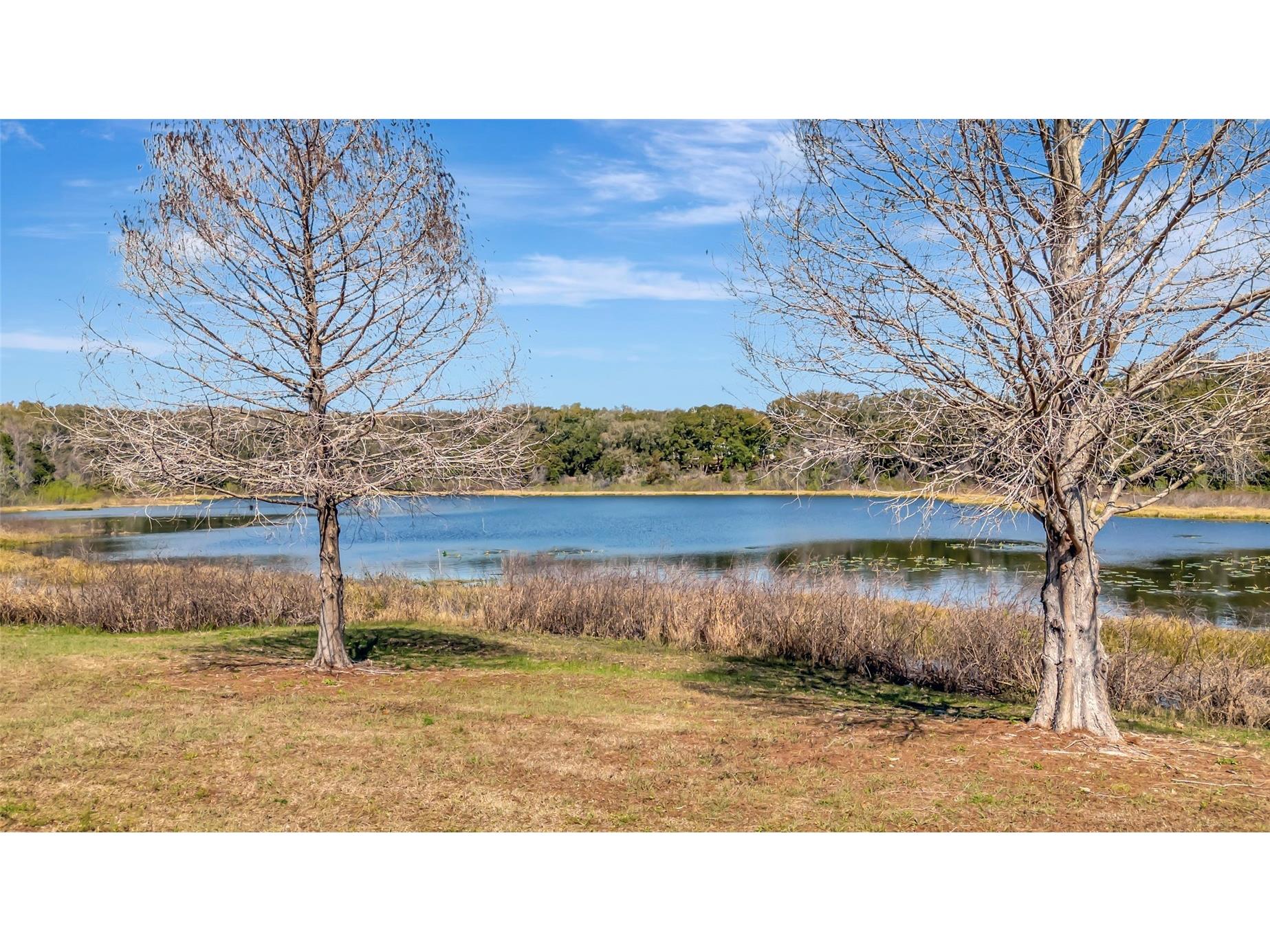 2011 White Oak Lane #20 Zellwood FL 32798 O6405972 image43