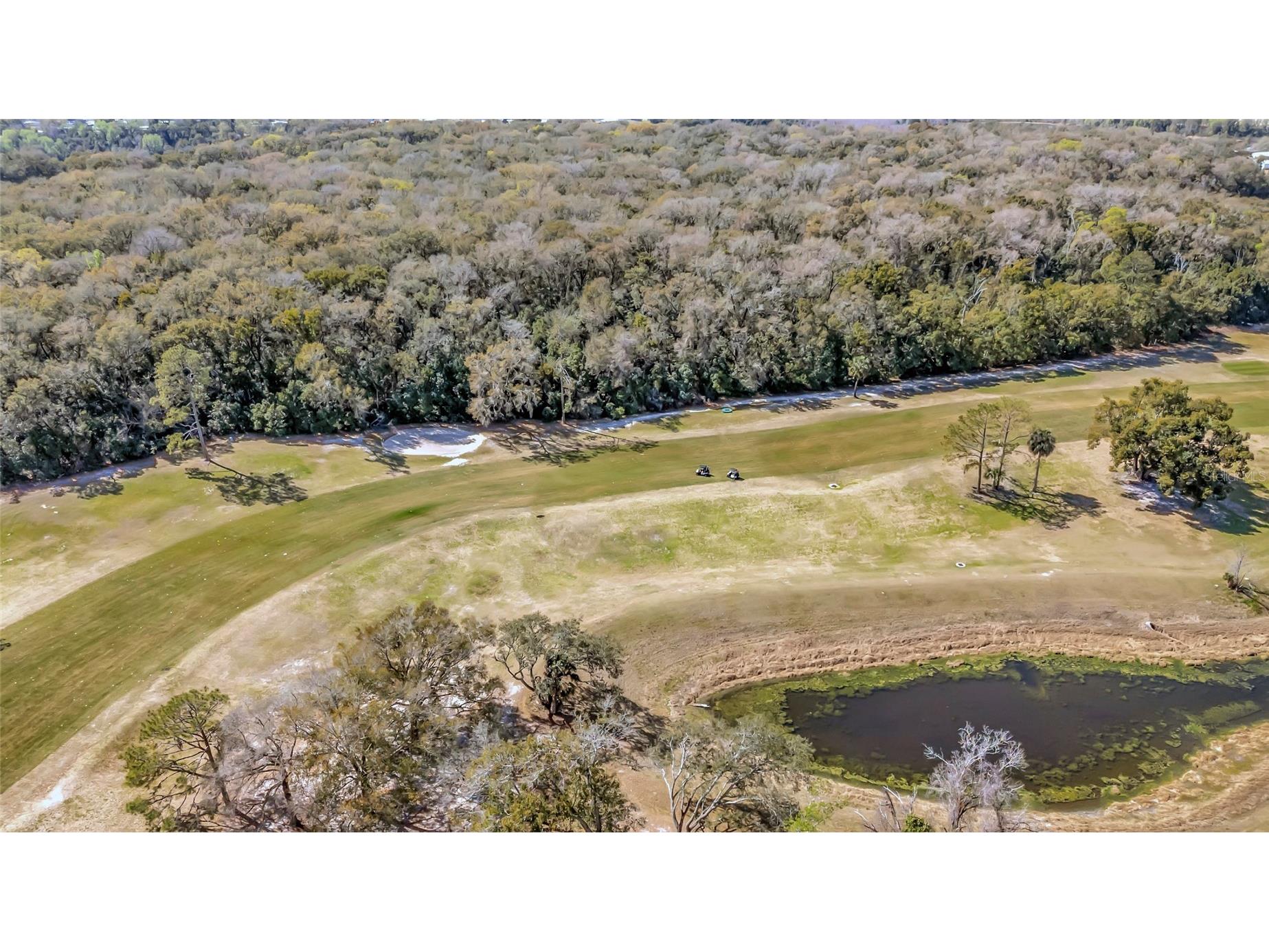 2011 White Oak Lane #20 Zellwood FL 32798 O6405972 image45