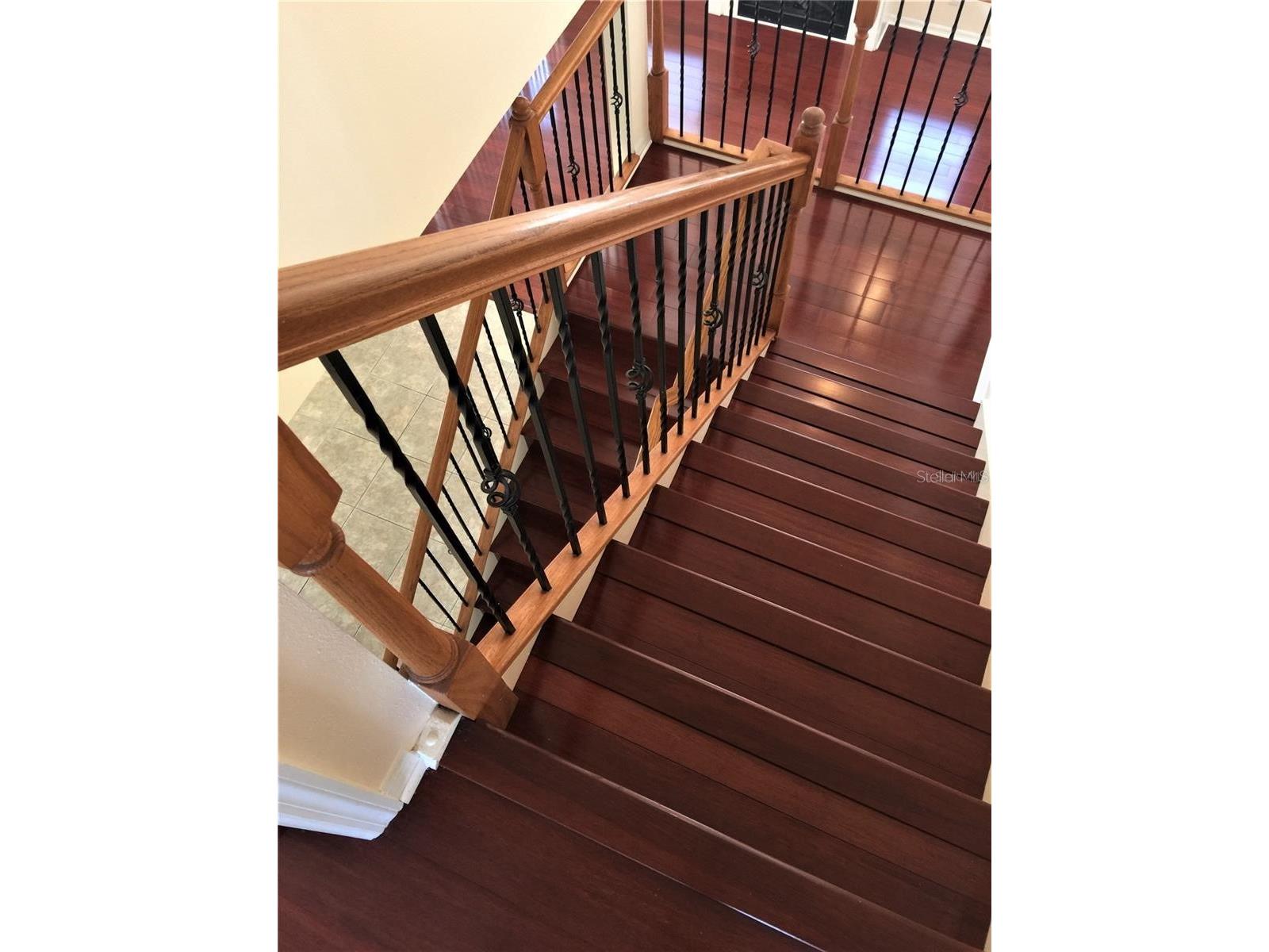 20110 Nob Oak Avenue Tampa FL 33647 TB8514206 image19