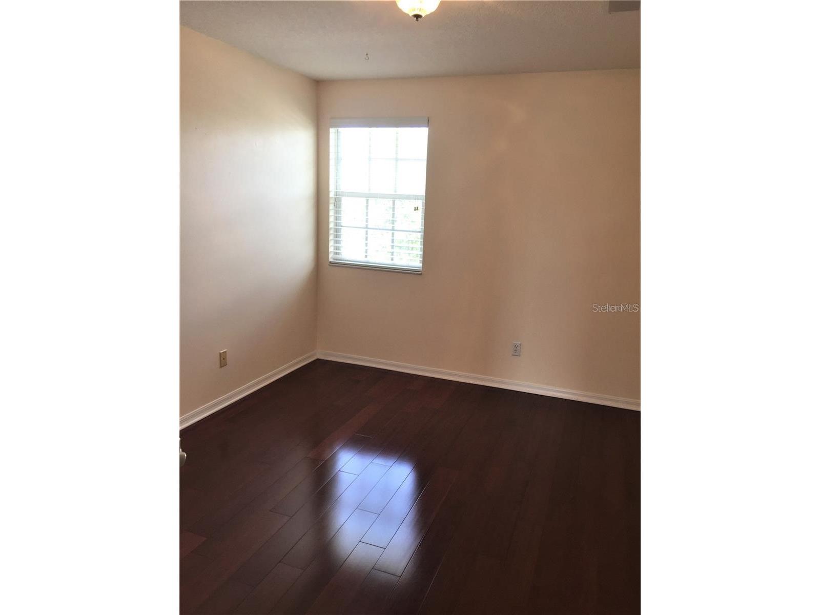 20110 Nob Oak Avenue Tampa FL 33647 TB8514206 image26