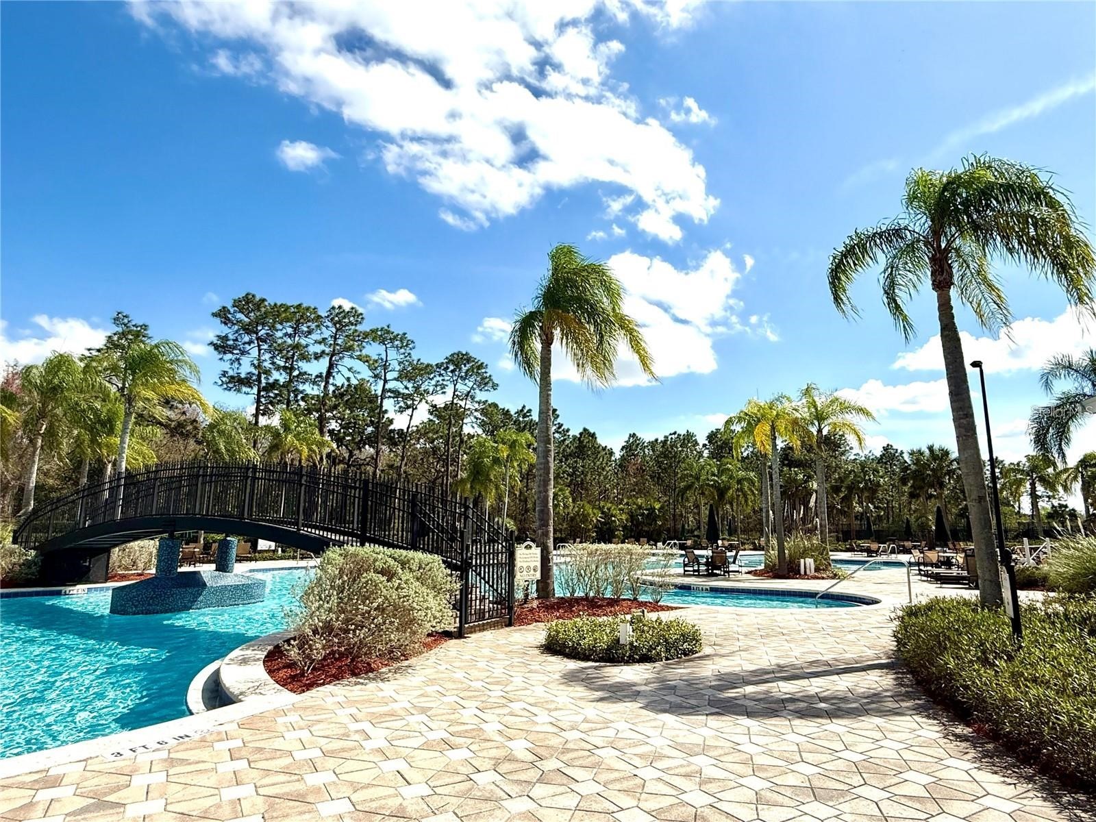 20110 Nob Oak Avenue Tampa FL 33647 TB8514206 image42