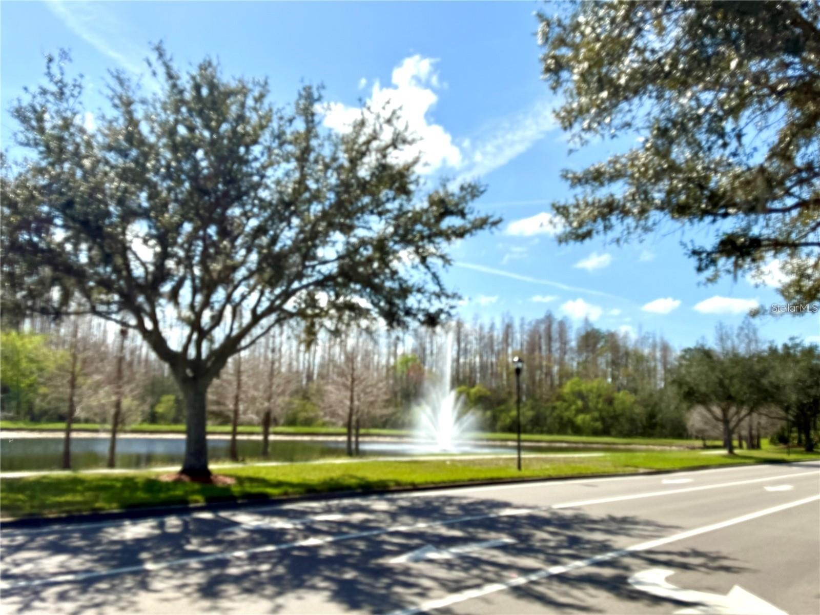 20110 Nob Oak Avenue Tampa FL 33647 TB8514206 image56
