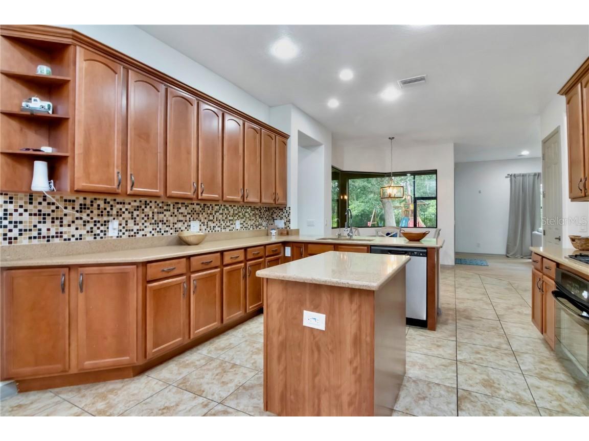 20110 Pond Spring Way Tampa FL 33647 TB8407679 image19