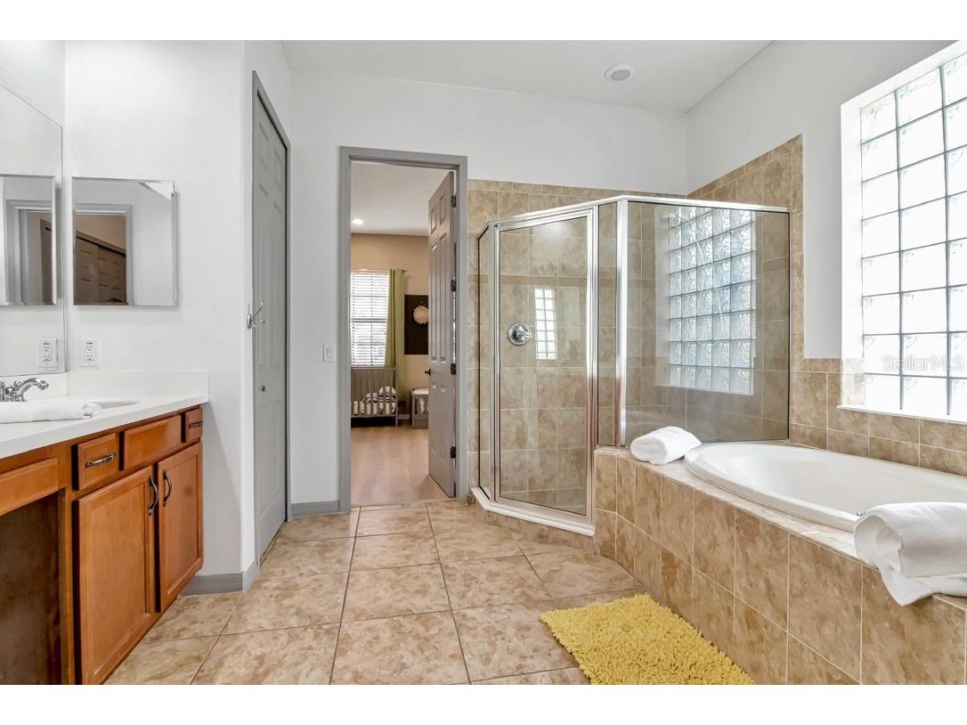 20110 Pond Spring Way Tampa FL 33647 TB8487360 image26