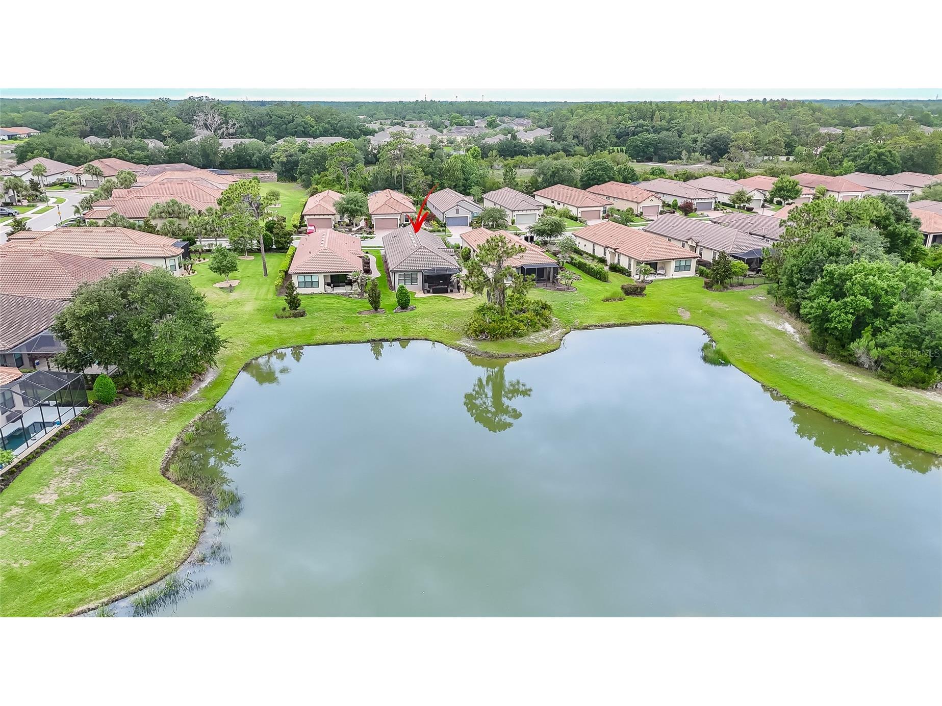 20111 Sorano Hill Place Tampa FL 33647 TB8513527 image2