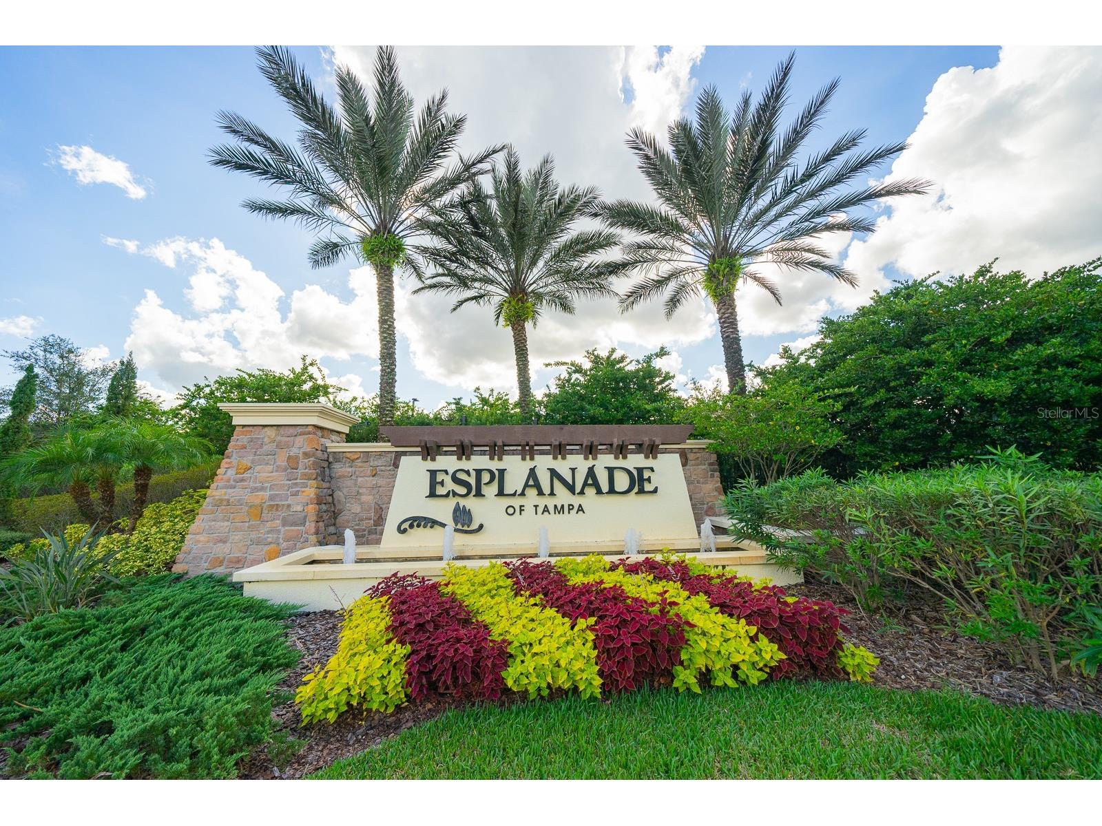 20111 Sorano Hill Place Tampa FL 33647 TB8513527 image20