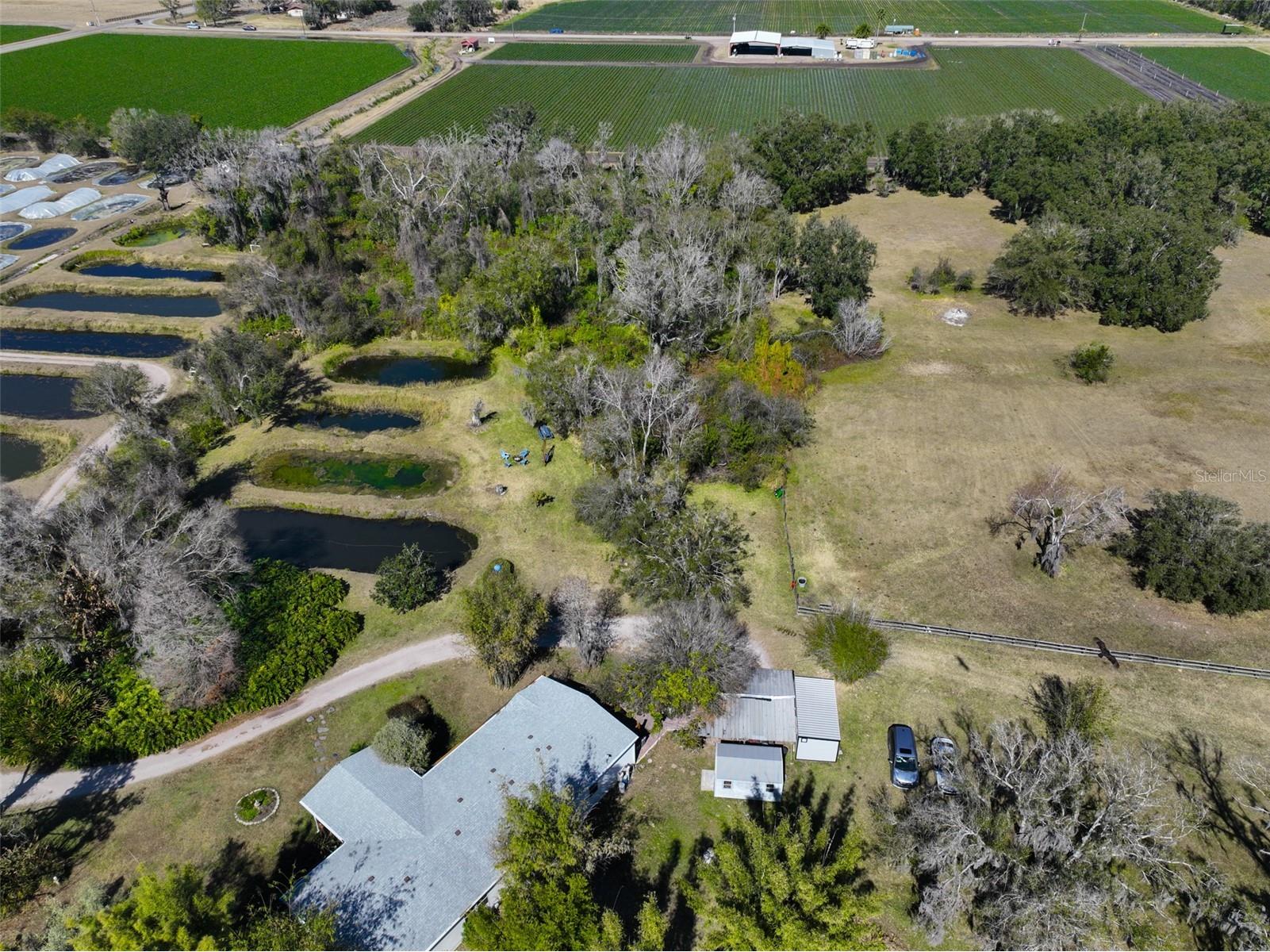 20112 Hobbs Road Wimauma FL 33598 TB8474506 image37