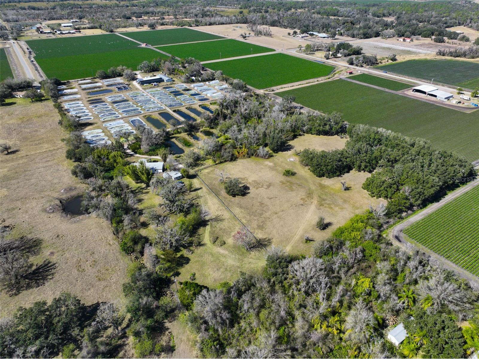 20112 Hobbs Road Wimauma FL 33598 TB8474506 image48