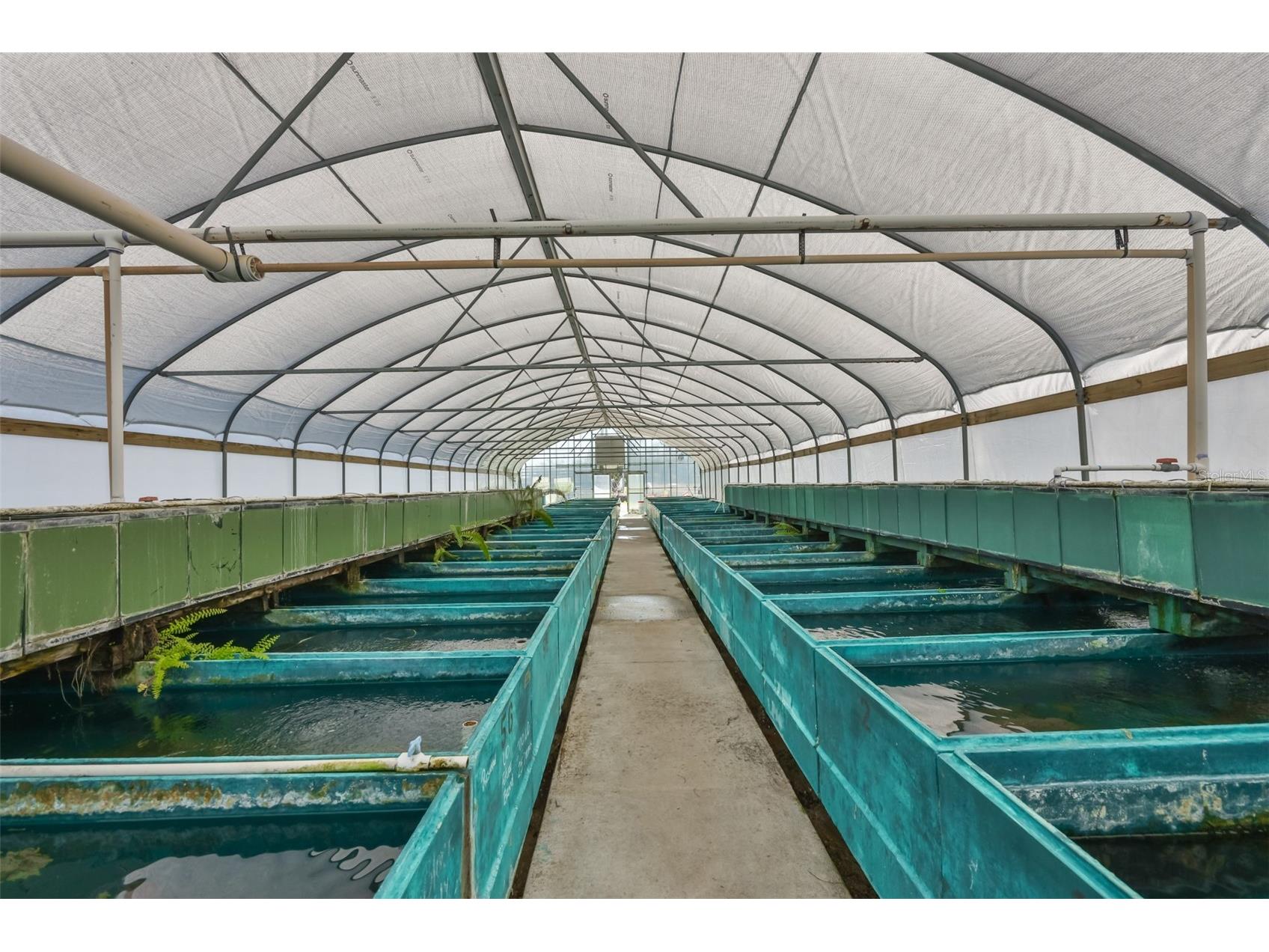 20112 Hobbs Road Wimauma FL 33598 TB8474506 image65